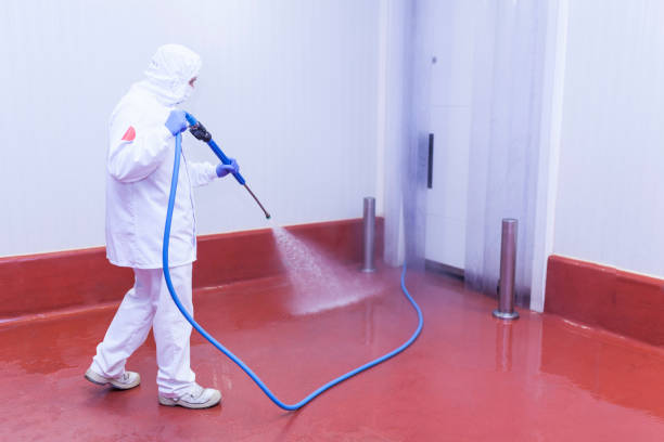Best Oil Spill Cleanup  in Tice, FL