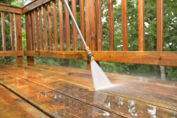 Best Solar Panel Cleaning  in Tice, FL